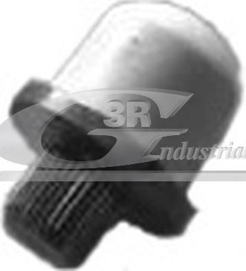 3RG 22603 - Болт вилки зчеплення Renault Megane-Scenic I JA0-1 -03  motor F9Q autocars.com.ua