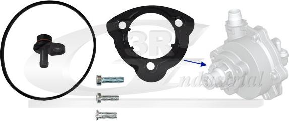 3RG 74103 - Ремкомплект, вакуумний насос (гальмівна установка) autocars.com.ua