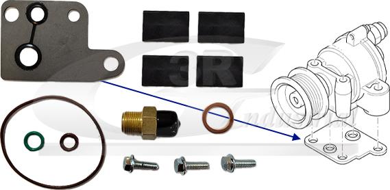 3RG 74303 - Ремкомплект, вакуумний насос (гальмівна установка) autocars.com.ua