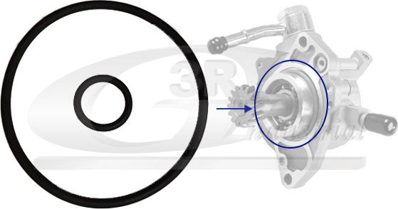 3RG 74802 - Комплект прокладок, вакуумний насос autocars.com.ua