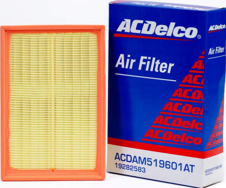 ACDelco 19282583 - Повітряний фільтр autocars.com.ua