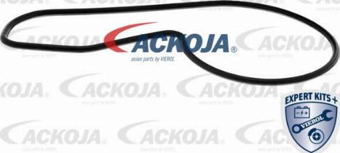 ACKOJA A26-0701 - Водяний насос autocars.com.ua