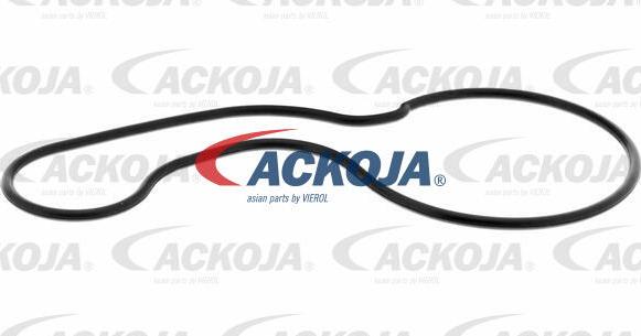 ACKOJA A26-50019 - Водяний насос autocars.com.ua