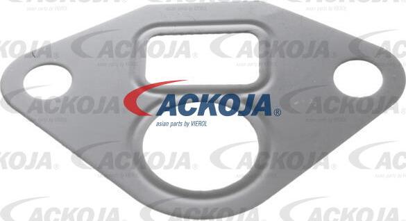 ACKOJA A26-63-0002 - Клапан повернення ОГ autocars.com.ua