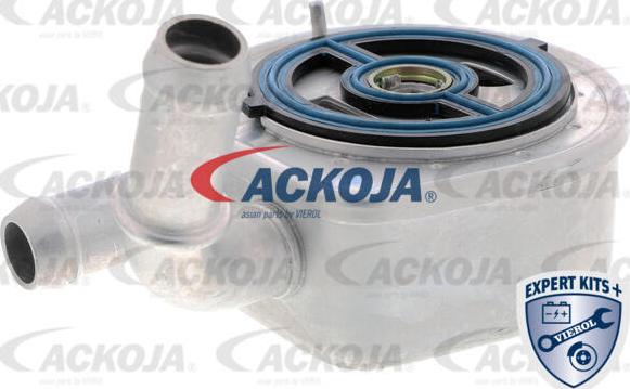 ACKOJA A32-60-0002 - Масляний радіатор, рухове масло autocars.com.ua