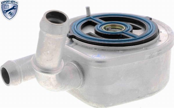 ACKOJA A32-60-0002 - Масляний радіатор, рухове масло autocars.com.ua