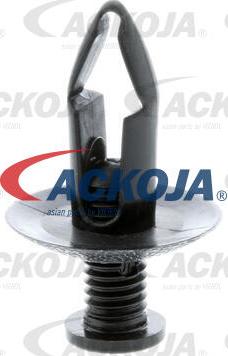 ACKOJA A38-0145 - Розпірна заклепка autocars.com.ua