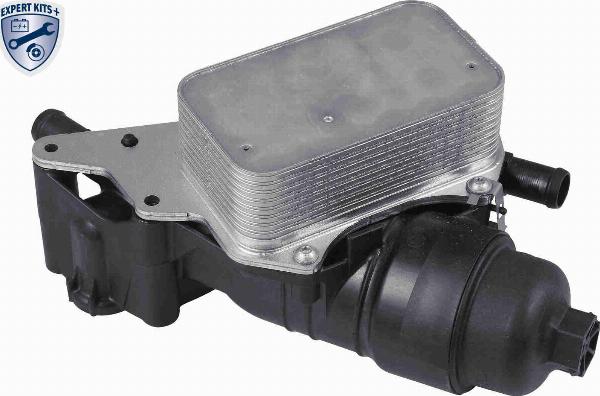 ACKOJA A38-60-0016 - Масляний радіатор, рухове масло autocars.com.ua