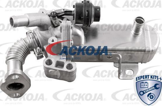 ACKOJA A38-63-0004 - Клапан повернення ОГ autocars.com.ua