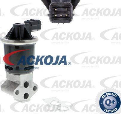 ACKOJA A51-63-0002 - Клапан повернення ОГ autocars.com.ua