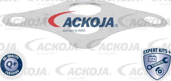 ACKOJA A51-63-0005 - Клапан повернення ОГ autocars.com.ua