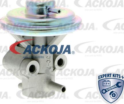 ACKOJA A51-63-0008 - Клапан повернення ОГ autocars.com.ua