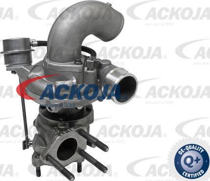 ACKOJA A52-0131 - Компресор, наддув autocars.com.ua