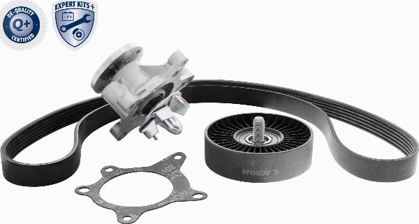 ACKOJA A52-0207 - Поликлиновий ремінний комплект autocars.com.ua