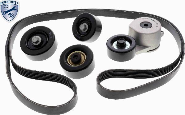 ACKOJA A52-0211 - Поликлиновий ремінний комплект autocars.com.ua