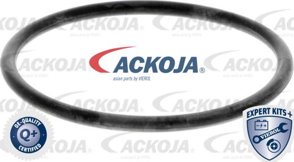 ACKOJA A52-0709 - Водяний насос autocars.com.ua