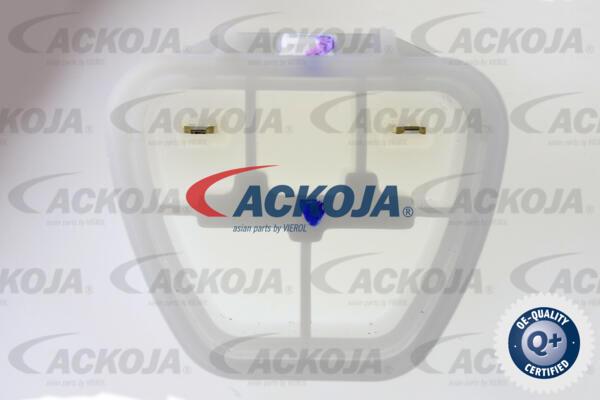 ACKOJA A52-09-0025 - Модуль паливного насоса autocars.com.ua