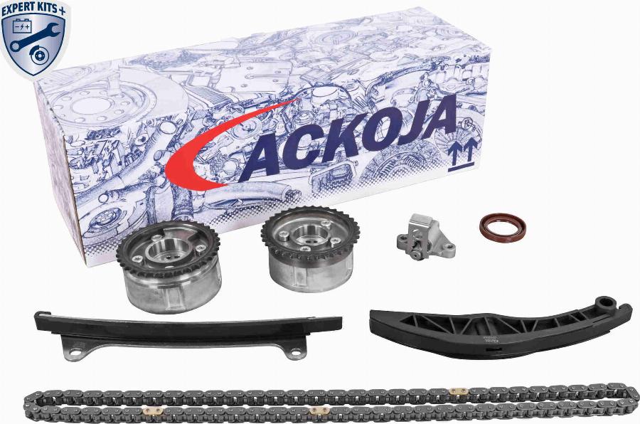 ACKOJA A52-10009 - Комплект ланцюга приводу распредвала autocars.com.ua