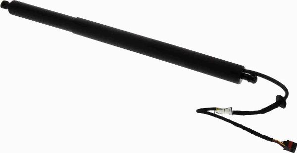 ACKOJA A52-55-0004 - Електромотор, задні двері autocars.com.ua