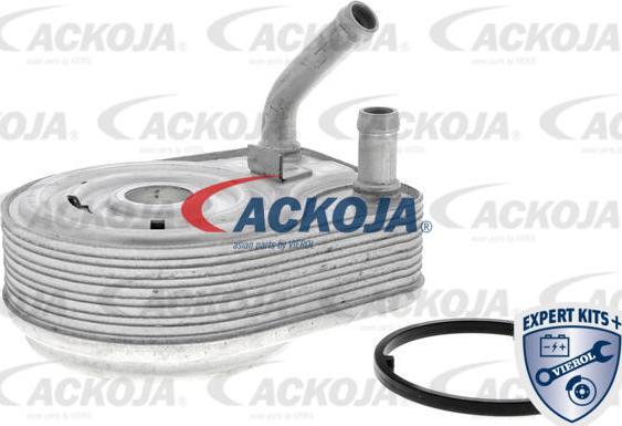 ACKOJA A52-60-0008 - Масляний радіатор, рухове масло autocars.com.ua