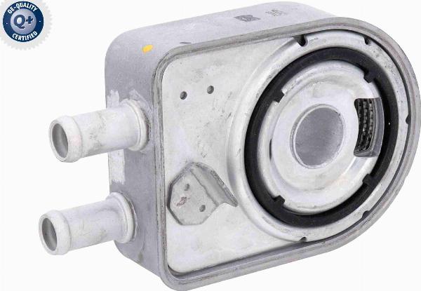 ACKOJA A52-60-0020 - Масляний радіатор, рухове масло autocars.com.ua