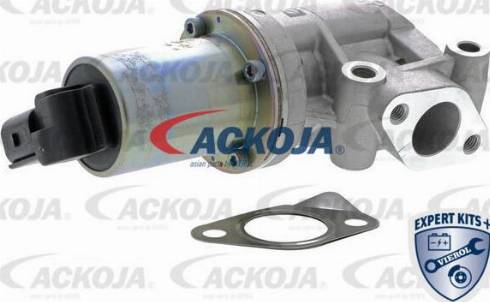 ACKOJA A52-63-0005 - Клапан повернення ОГ autocars.com.ua