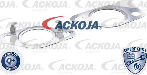 ACKOJA A52-63-0006 - Клапан повернення ОГ autocars.com.ua