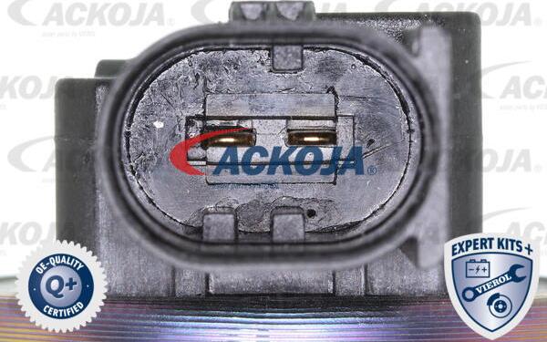 ACKOJA A52-63-0006 - Клапан повернення ОГ autocars.com.ua