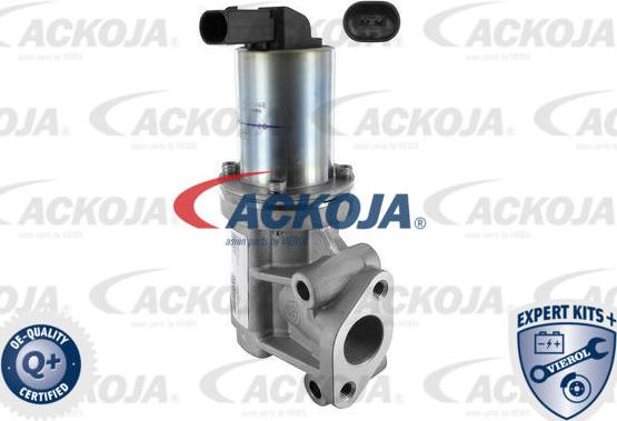 ACKOJA A52-63-0006 - Клапан повернення ОГ autocars.com.ua