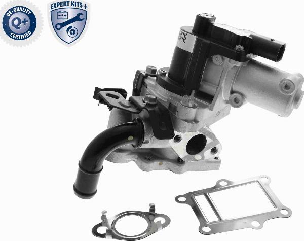 ACKOJA A52-63-0013 - Клапан повернення ОГ autocars.com.ua