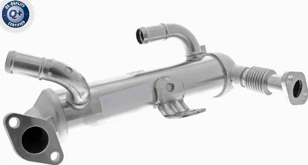 ACKOJA A52-63-0017 - Радіатор, рециркуляція ОГ autocars.com.ua