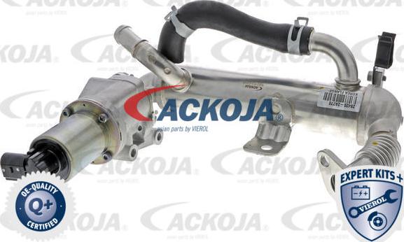 ACKOJA A52-63-0018 - Клапан повернення ОГ autocars.com.ua
