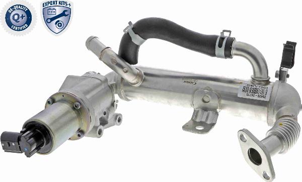 ACKOJA A52-63-0018 - Клапан повернення ОГ autocars.com.ua