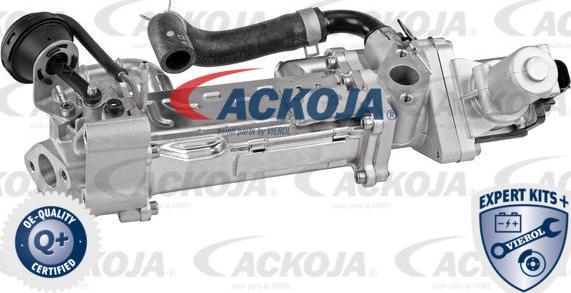 ACKOJA A52-63-0019 - Радіатор, рециркуляція ОГ autocars.com.ua