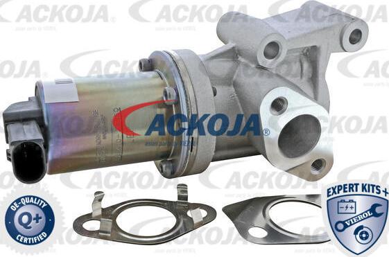 ACKOJA A52-63-0020 - Клапан повернення ОГ autocars.com.ua