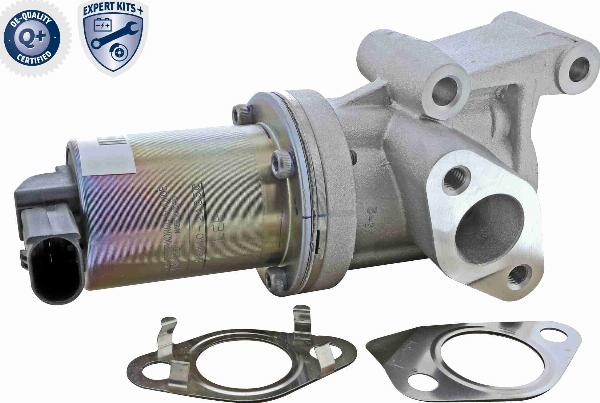 ACKOJA A52-63-0020 - Клапан повернення ОГ autocars.com.ua