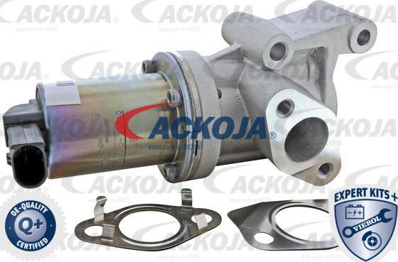 ACKOJA A52-63-0020 - Клапан повернення ОГ autocars.com.ua