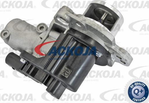 ACKOJA A52-63-0026 - Клапан повернення ОГ autocars.com.ua