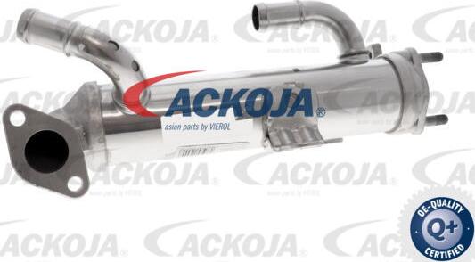 ACKOJA A52-63-0036 - Радіатор, рециркуляція ОГ autocars.com.ua