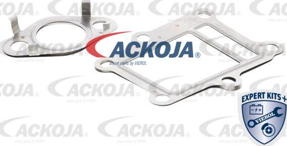 ACKOJA A52-63-9013 - Комплект прокладок, AGR-система autocars.com.ua