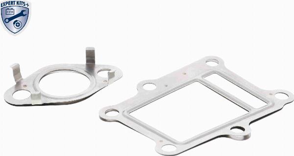 ACKOJA A52-63-9013 - Комплект прокладок, AGR-система autocars.com.ua