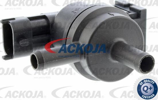 ACKOJA A52-77-0019 - Клапан, фільтр активованого вугілля autocars.com.ua