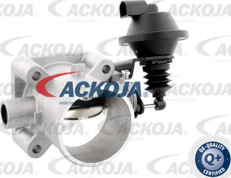 ACKOJA A52-81-0008 - Патрубок дросельної заслінки autocars.com.ua