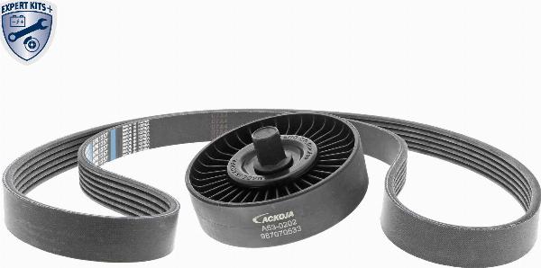ACKOJA A53-0202 - Поликлиновий ремінний комплект autocars.com.ua