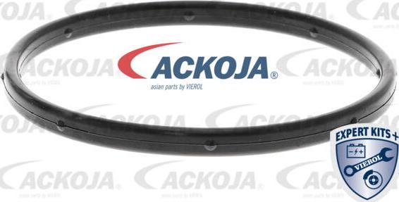 ACKOJA A53-50010 - Водяний насос autocars.com.ua