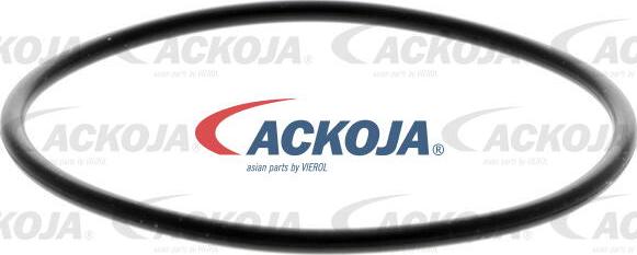 ACKOJA A70-0197 - Паливний фільтр autocars.com.ua