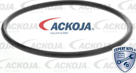 ACKOJA A70-50012 - Водяний насос autocars.com.ua