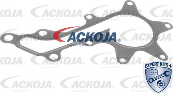 ACKOJA A70-50025 - Водяний насос autocars.com.ua