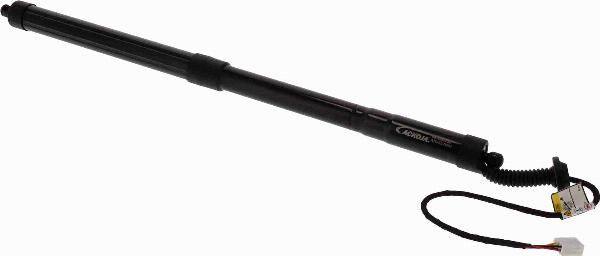 ACKOJA A70-55-0004 - Електромотор, задні двері autocars.com.ua