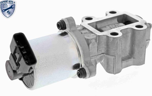 ACKOJA A70-63-0025 - Клапан повернення ОГ autocars.com.ua